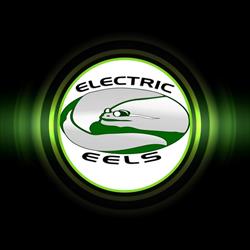 Electric Eels Swim Club