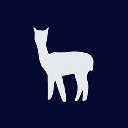 Little Alpaca