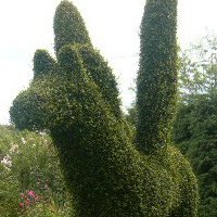 High Country Gardens, Gallery and Maze