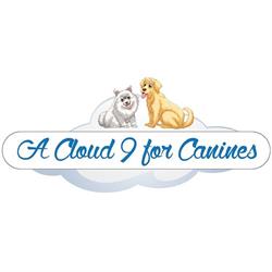 A Cloud 9 For Canines