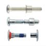 Lock Bolts