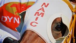 Dynamic Syndications