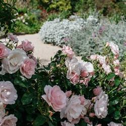 Eurambeen Historic Homestead and Gardens