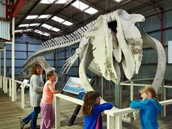 Albany's Historic Whaling Station