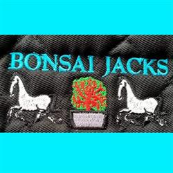 Bonsai Jacks Horse Riding School and Pony Stud