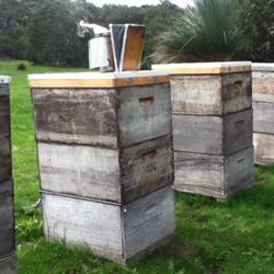 Kangaroo Island Living Honey