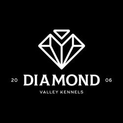 Diamond Valley Kennels Pty Ltd