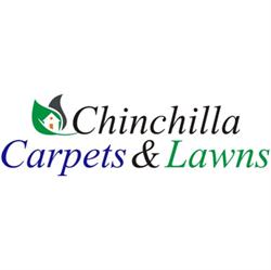 chinchilla carpets and lawns
