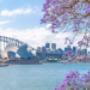 Sydney River View