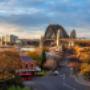 Sydney City With Trees