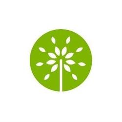 Moneytree Accounting