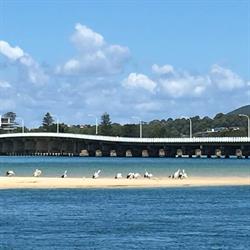 The deck @ tuncurry