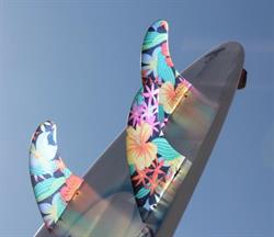 Soar Fin System