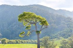 Mountain View Farm - Tilba Accommodation, Retreats, Weddings & Events