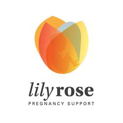 Lilyrose Pregnancy Support