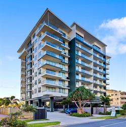 Verve on Cotton Tree