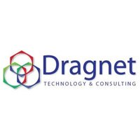 Dragnet Technology & Consulting