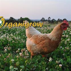 Organigrow