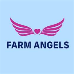 Farm Angels Chinchilla