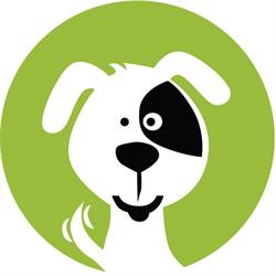 Fetch 'n' Fun Wellness and Daycare