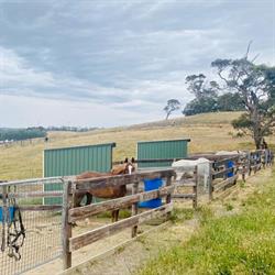 HorseMedSA Hills Equine Veterinary Clinic
