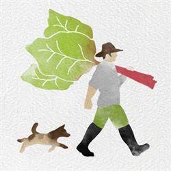 Nicholls Rivulet Organic Farm