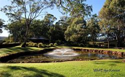 Wild Edge Retreat