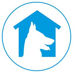 Pets Domain