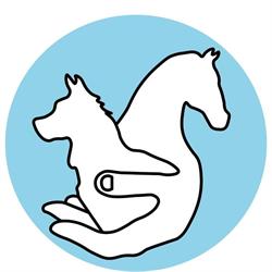 Hoof and Hound Biomechanics