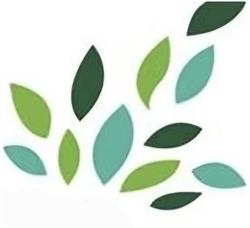 FNQ Accounting