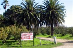 Greenwood Orchards
