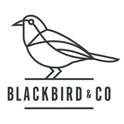 Blackbird & co