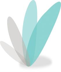 Progression Healthcare