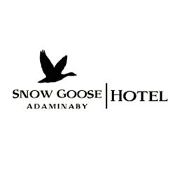 Snow Goose Hotel Motel