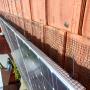 Bird mesh solar panels