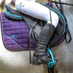 Ethereal Equestrian