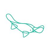 Platypus Coworking