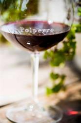 Polperro Winery