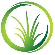 Green Valley Bowen Therapy
