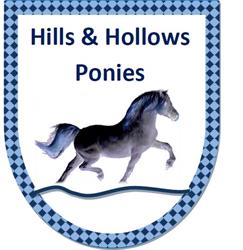 Hills and Hollows Pony and Horse Riding