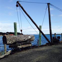 Morrison's Huon Pine Sawmill