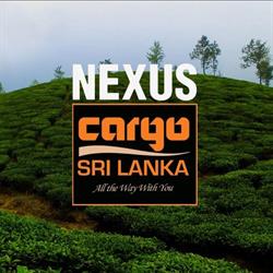 Nexuscorp International PTY LTD