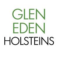 Glen Eden Holsteins