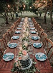 The Olive Estate