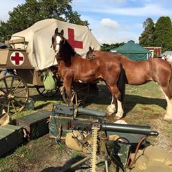 The Light Horse & Field Artillery Museum