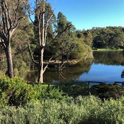 Henty Lodge Bed & Breakfast