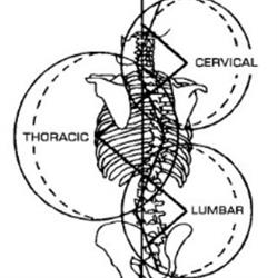 Burnie Chiropractic