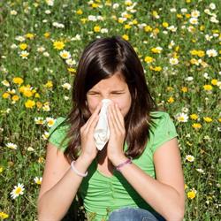 Allergy First Gold Coast