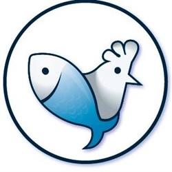 Effie’s Gourmet Chicken & Fresh Fish