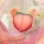 Peachy Bath Bomb